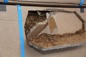 Uderzenie SG i KAS w zorganizowaną przestępczość