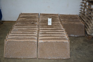 Papierosy wyprodukowane w nielegalnej fabryce Papierosy wyprodukowane w nielegalnej fabryce