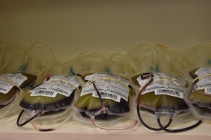 Akcja honorowego oddawania krwi Akcja honorowego oddawania krwi