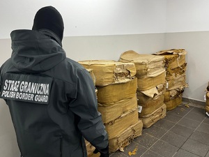 Zatrzymany susz tytoniowy Zatrzymany susz tytoniowy