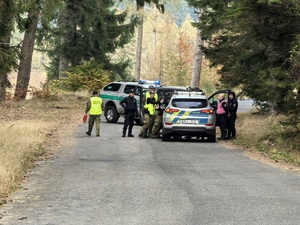 Polsko-czeskie ćwiczenia taktyczne Polsko-czeskie ćwiczenia taktyczne