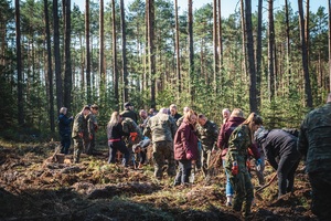 Wspólne sadzenie lasu - funkcjonariusze służb w akcji „Lasy na nowe 100-lecie” Wspólne sadzenie lasu - funkcjonariusze służb w akcji „Lasy na nowe 100-lecie”