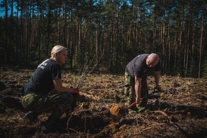 Wspólne sadzenie lasu - funkcjonariusze służb w akcji „Lasy na nowe 100-lecie” Wspólne sadzenie lasu - funkcjonariusze służb w akcji „Lasy na nowe 100-lecie”