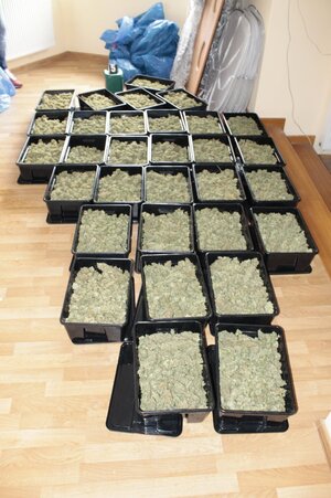 Fot.: KMP w Jaworznie